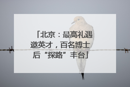 北京：最高礼遇邀英才，百名博士后“探路”丰台