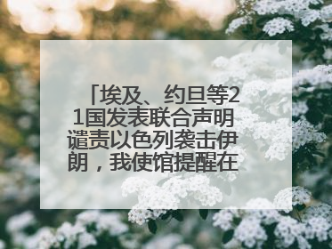 埃及、约旦等21国发表联合声明谴责以色列袭击伊朗，我使馆提醒在以中国公民尽快陆路离境