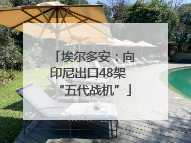 埃尔多安：向印尼出口48架“五代战机”