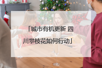 城市有机更新 四川攀枝花如何行动