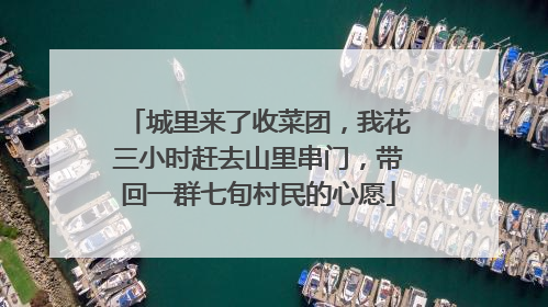 城里来了收菜团，我花三小时赶去山里串门，带回一群七旬村民的心愿