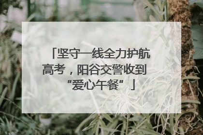 坚守一线全力护航高考，阳谷交警收到“爱心午餐”