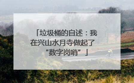 垃圾桶的自述：我在兴山水月寺做起了“数字岗哨”