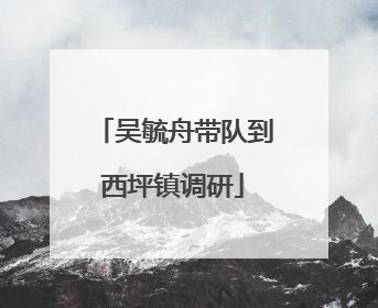 吴毓舟带队到西坪镇调研
