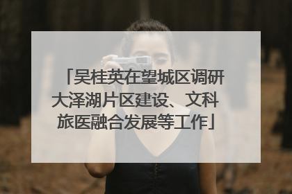 吴桂英在望城区调研大泽湖片区建设、文科旅医融合发展等工作