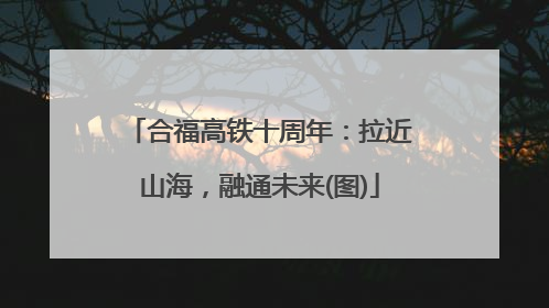 合福高铁十周年：拉近山海，融通未来(图)