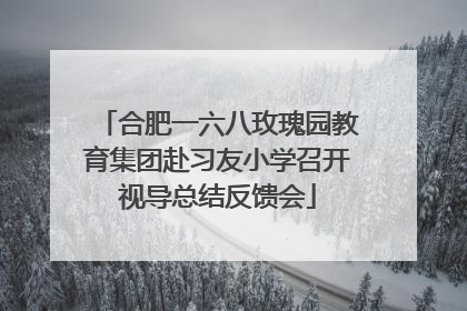 合肥一六八玫瑰园教育集团赴习友小学召开视导总结反馈会