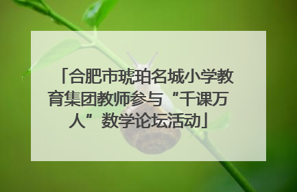 合肥市琥珀名城小学教育集团教师参与“千课万人”数学论坛活动
