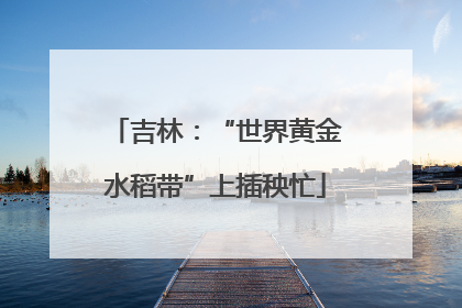 吉林：“世界黄金水稻带”上插秧忙