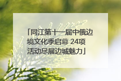 同江第十一届中俄边境文化季启幕 24项活动尽展边城魅力