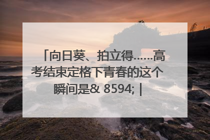 向日葵、拍立得……高考结束定格下青春的这个瞬间是& 8594;｜2025四川高考