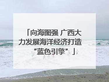 向海图强 广西大力发展海洋经济打造“蓝色引擎”