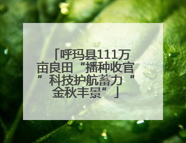 呼玛县111万亩良田“播种收官”科技护航蓄力“金秋丰景”