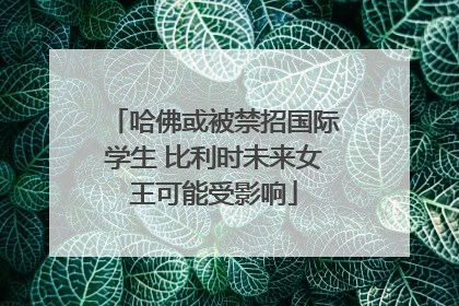 哈佛或被禁招国际学生 比利时未来女王可能受影响