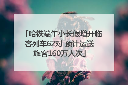 哈铁端午小长假增开临客列车62对 预计运送旅客160万人次