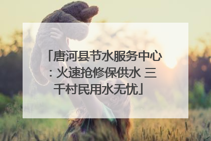 唐河县节水服务中心：火速抢修保供水 三千村民用水无忧