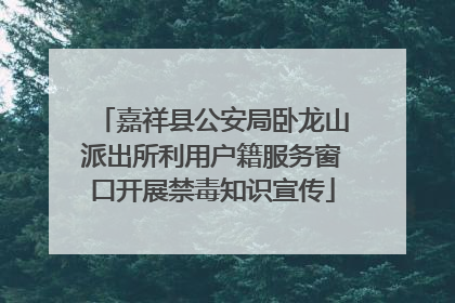 嘉祥县公安局卧龙山派出所利用户籍服务窗口开展禁毒知识宣传