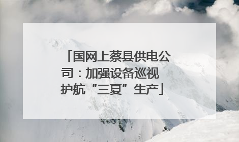 国网上蔡县供电公司：加强设备巡视 护航“三夏”生产
