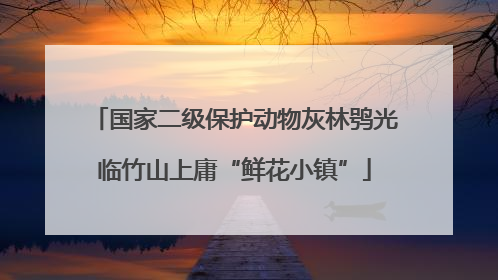 国家二级保护动物灰林鸮光临竹山上庸“鲜花小镇”