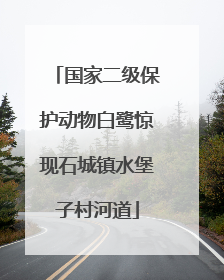 国家二级保护动物白鹭惊现石城镇水堡子村河道