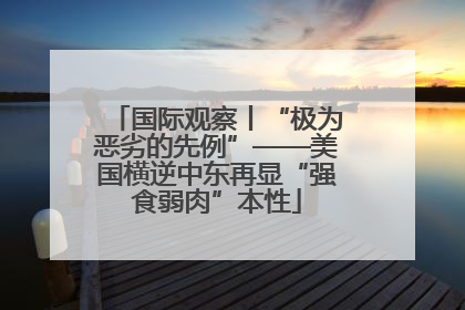 国际观察丨“极为恶劣的先例”——美国横逆中东再显“强食弱肉”本性