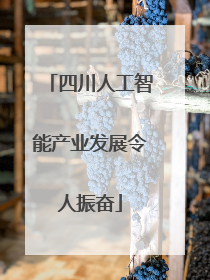 四川人工智能产业发展令人振奋