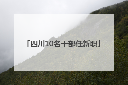 四川10名干部任新职