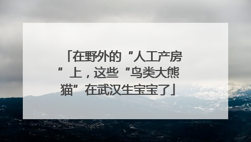 在野外的“人工产房”上，这些“鸟类大熊猫”在武汉生宝宝了