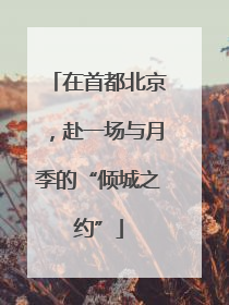 在首都北京，赴一场与月季的“倾城之约”