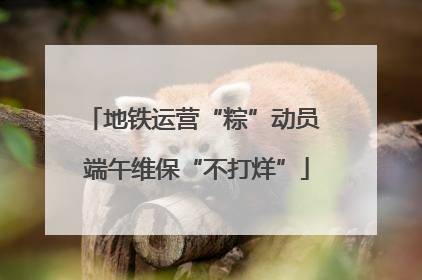 地铁运营“粽”动员 端午维保“不打烊”