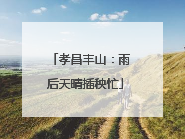 孝昌丰山：雨后天晴插秧忙