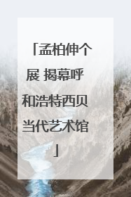 孟柏伸个展 揭幕呼和浩特西贝当代艺术馆