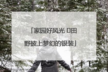 家园好风光 ⎮田野披上梦幻的银装