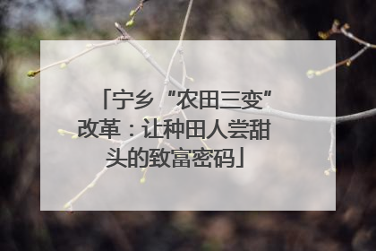 宁乡“农田三变”改革：让种田人尝甜头的致富密码
