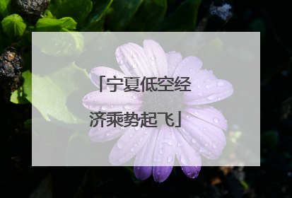宁夏低空经济乘势起飞