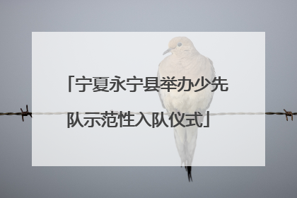 宁夏永宁县举办少先队示范性入队仪式