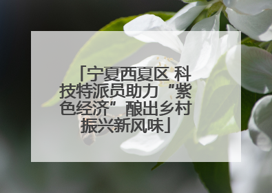 宁夏西夏区 科技特派员助力“紫色经济”酿出乡村振兴新风味