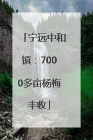 宁远中和镇：7000多亩杨梅丰收