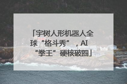 宇树人形机器人全球“格斗秀”，AI“拳王”硬核破圈