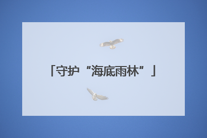 守护“海底雨林”