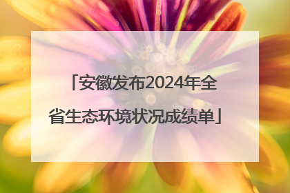 安徽发布2024年全省生态环境状况成绩单