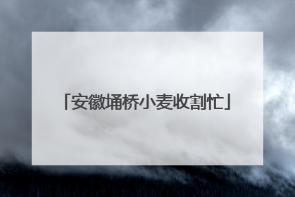 安徽埇桥小麦收割忙