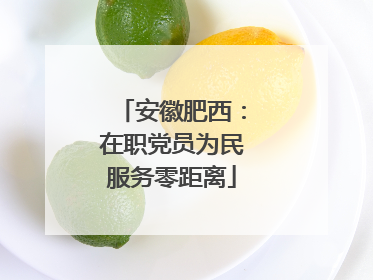 安徽肥西：在职党员为民服务零距离