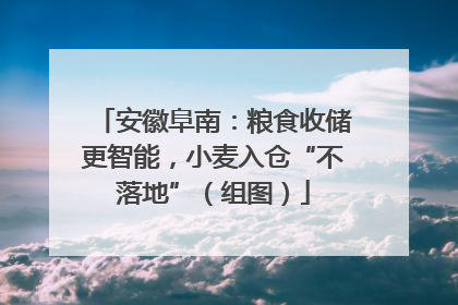 安徽阜南：粮食收储更智能，小麦入仓“不落地”（组图）