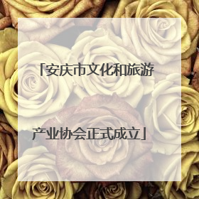安庆市文化和旅游产业协会正式成立