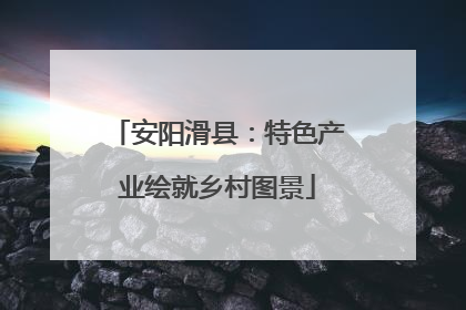 安阳滑县：特色产业绘就乡村图景