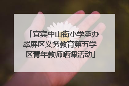 宜宾中山街小学承办翠屏区义务教育第五学区青年教师晒课活动