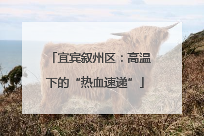宜宾叙州区：高温下的“热血速递”