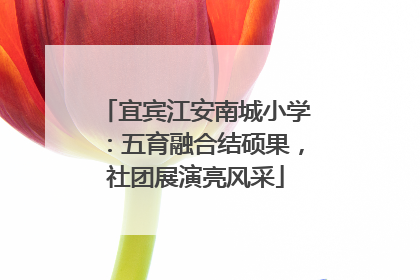 宜宾江安南城小学:五育融合结硕果,社团展演亮风采