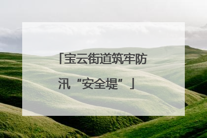 宝云街道筑牢防汛“安全堤”